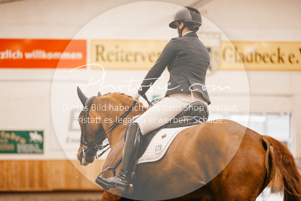 3I6A2839 | Stimmungsvolle Portraits und Reitsportfotografie im Ruhrgebiet und im Münsterland.

Pferdefotografie, Hundefotografie, Tierfotografie, Reportagen, Portraits von Tier und Mensch, Turnierfotografie in Bochum, Recklinghausen, Marl, Haltern am See, Dülmen.. - Realisiert mit Pictrs.com