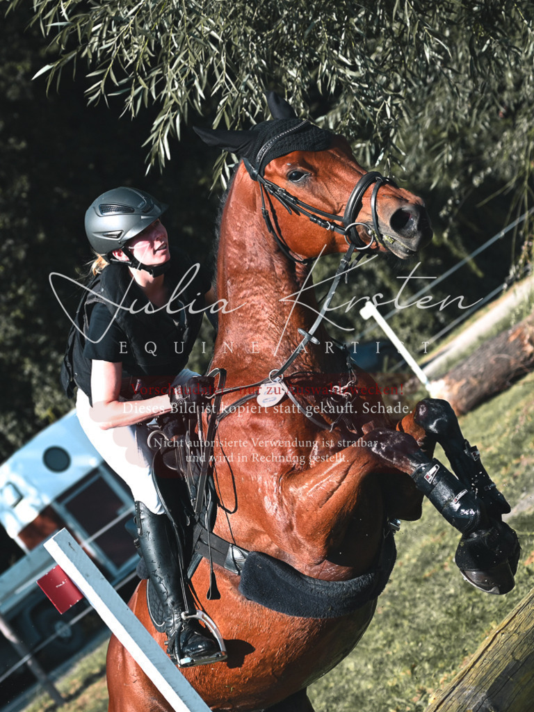 DSC_8783 | Pferde- und Turnierfotografie in Westsachsen. Pferdeportraits, Auftragszeichnungen und intuitive Kunst.