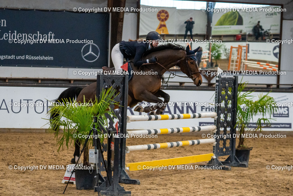 Kranichstein Tag 2-060 | dv-media-shop - Realisiert mit Pictrs.com