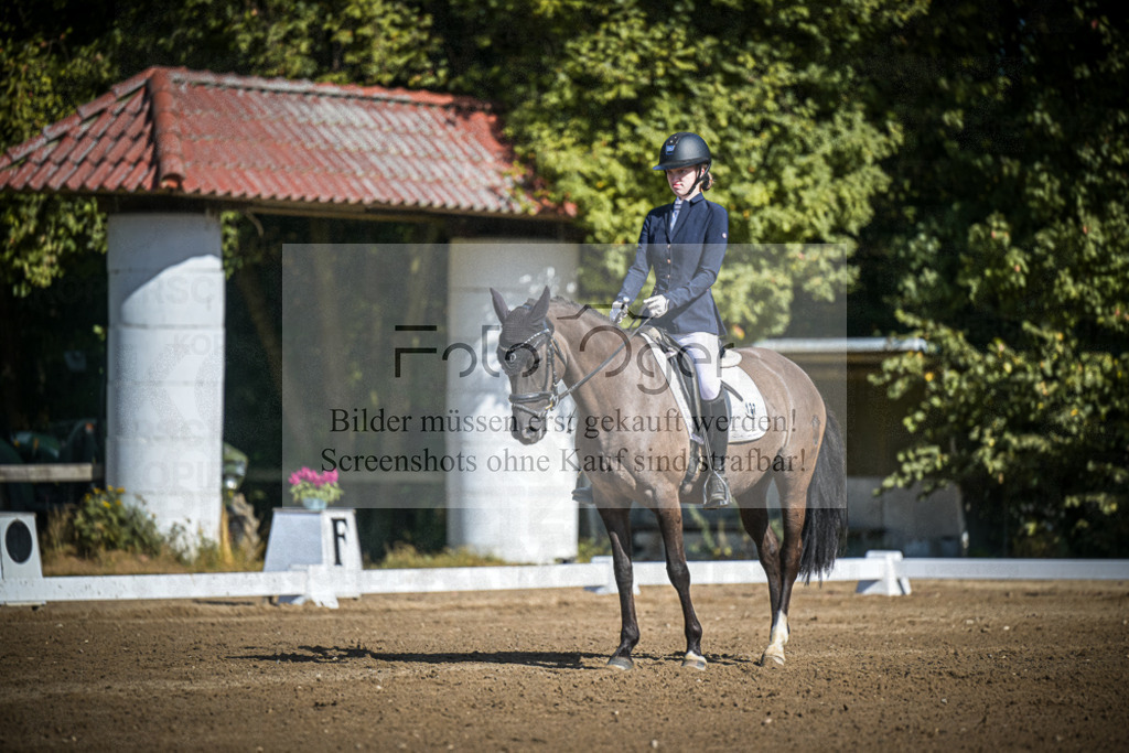 DOS_2983 | Entdecke hochwertige Reitturnierfotos von Foto Oger. Professionell, emotional und authentisch – jetzt Lieblingsmomente im Shop bestellen.Deutschlandweite Turnierfotografie. - Realisiert mit Pictrs.com