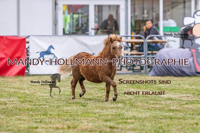 LTN 1 (25 von 918) | mandyhollmannphotographie
