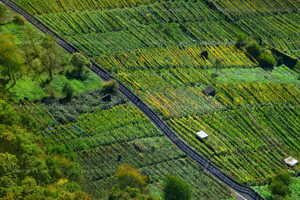 3491154 | Weinberge bei Klingenberg