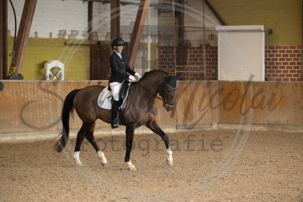 994A8825 | sabrinanicolaifotografie - Realisiert mit Pictrs.com