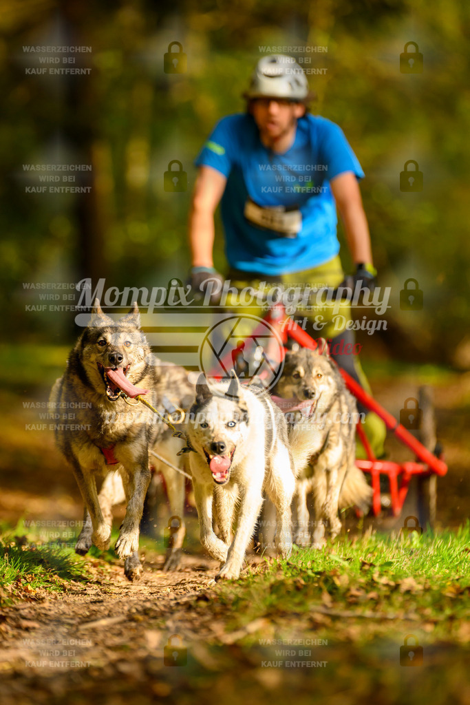 MompixPhotography_20TSB_E1_Kids-14 | PayLife