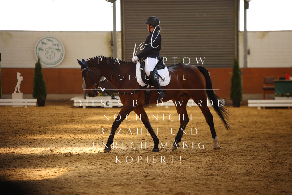 IMGT0767 | pl-fotografie