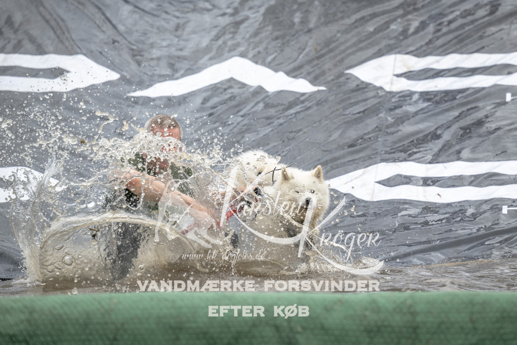 1403_ZZ94137 | kk-dogfotos