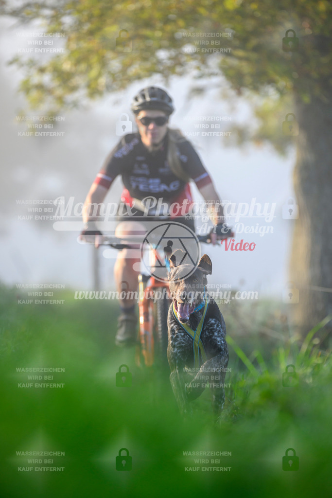 MompixPhotography_20TSB_E3_Bike-38 | PayLife