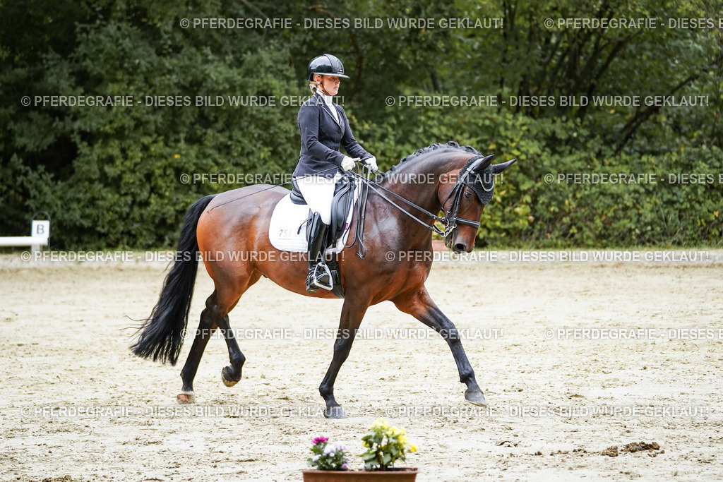 DSC09690 | Pferdegrafie