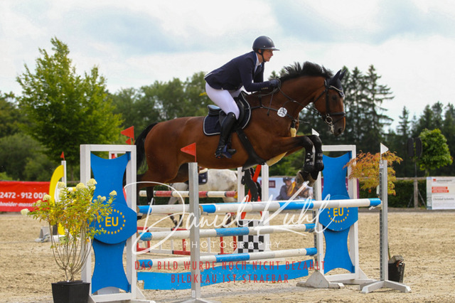 DKP43732 | Turniersportfotografie; Pferdefotografie; Dressurfotografie