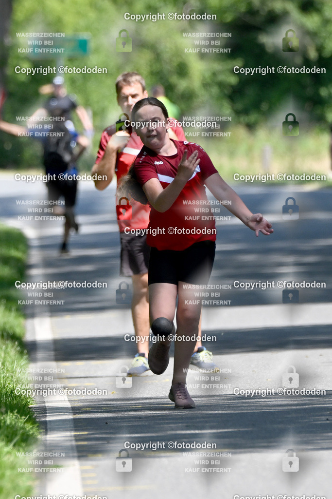 DSC_1248 | Malena Küper / Schweinebrück / wJD Holz