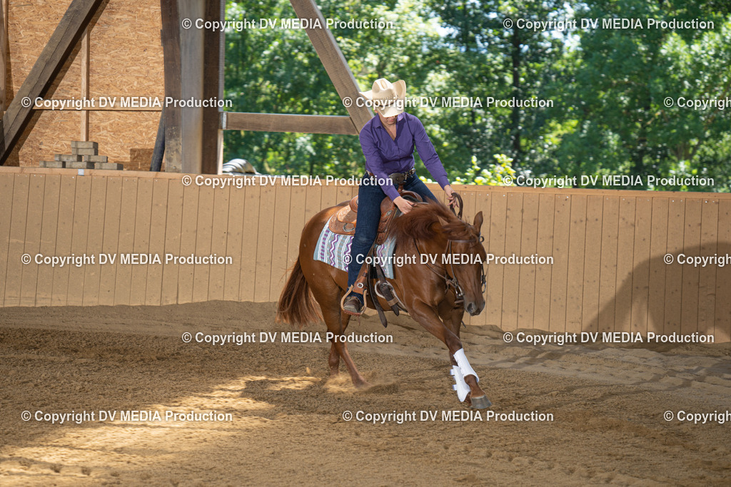 DSC00027 | dv-media-shop - Realisiert mit Pictrs.com