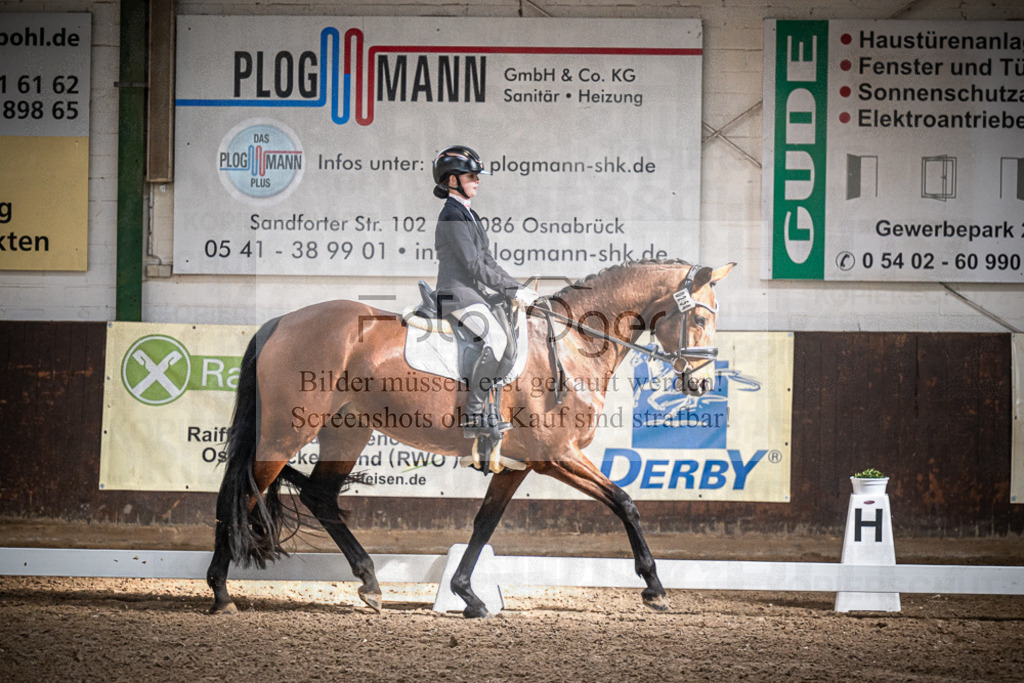 DOS_0624 | Entdecke hochwertige Reitturnierfotos von Foto Oger. Professionell, emotional und authentisch – jetzt Lieblingsmomente im Shop bestellen.Deutschlandweite Turnierfotografie. - Realisiert mit Pictrs.com