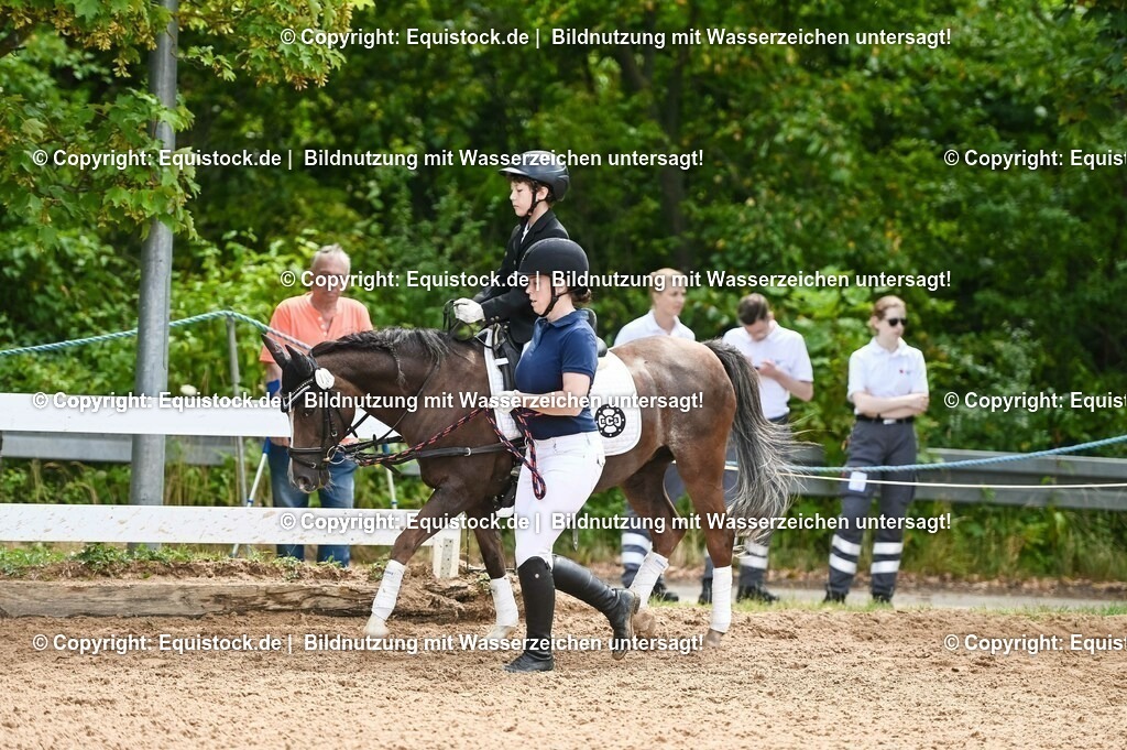 20230716_11_Führzügel-WB_0073 | equistock