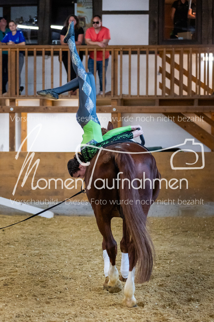 Einzel-106 | MomenTaufnahmen Pferdesportfotos