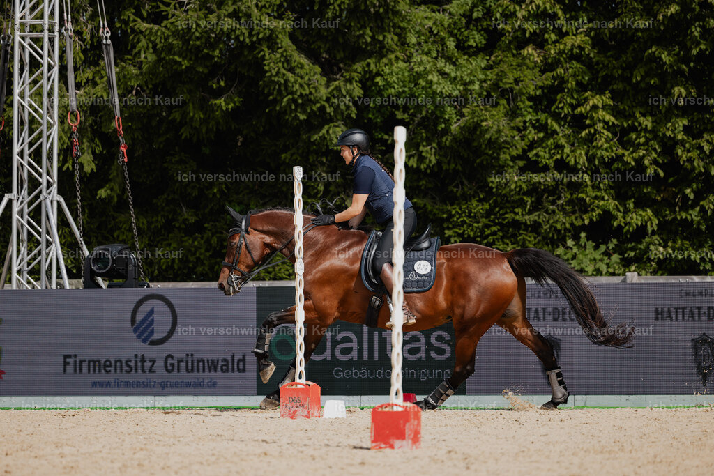 Nadine22_FHC2025-133 | working equitationturnier fotograf videograf stoibphotography marixx film working equitation deutschland reitsport turnierfotografie eventfotografie equestrian events