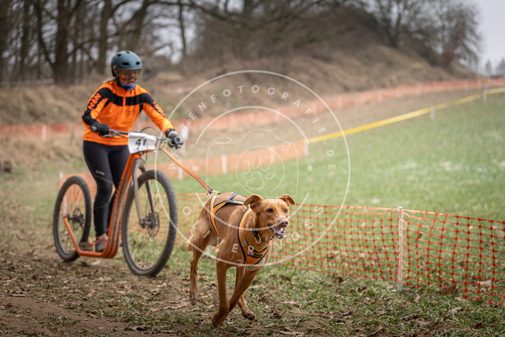 Pfotenfotografie_DV3A6569 | Hundefotografie, Tierfotograf, Pfotenfotografie, Fotoshooting Hund, Hunde Portrait, Hundesport, Hundeportraits, Heideshooting, Hunde, Sportfotograf, Hundefotograf, Turnierhundsport, THS,  - Realisiert mit Pictrs.com