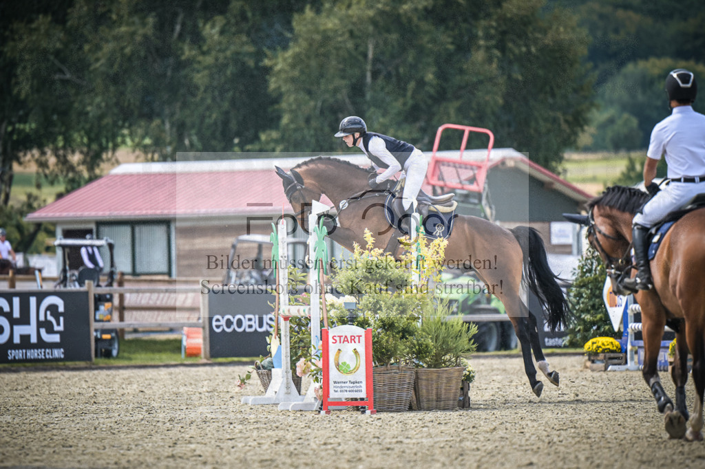 DOS_6758 | Entdecke hochwertige Reitturnierfotos von Foto Oger. Professionell, emotional und authentisch – jetzt Lieblingsmomente im Shop bestellen.Deutschlandweite Turnierfotografie. - Realisiert mit Pictrs.com