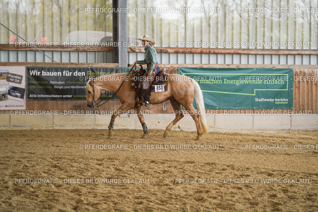 DSC09039 | Pferdegrafie