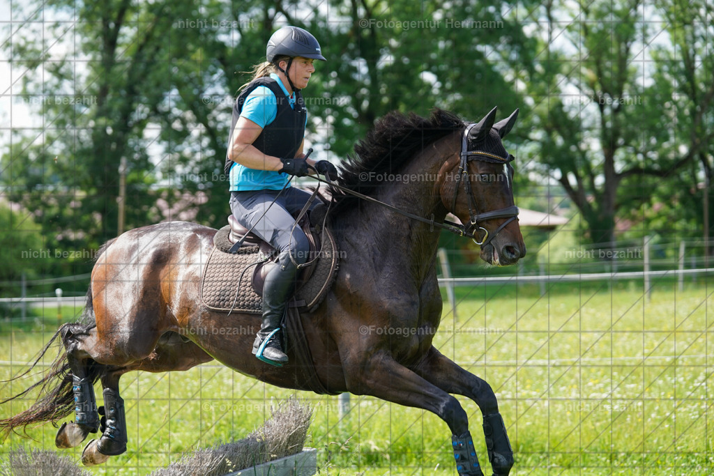 20240622-FAH07843 | Turnierfotografen Bayern, Reitsportbilder aus dem Geländekurs mit Felix Etzel auf dem Gut Waitzacker 2024