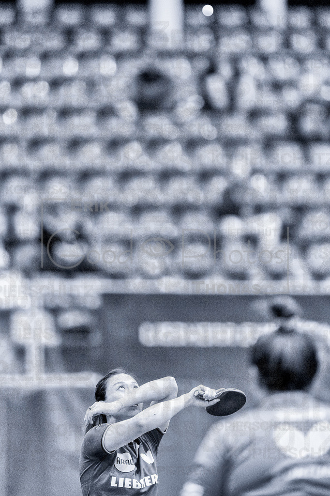 European_Championships_2024-10-19_030 | good-photos - Realisiert mit Pictrs.com