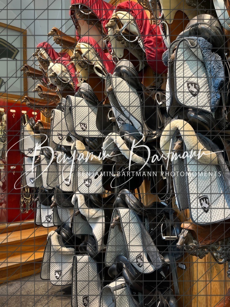 IMG_3240 | Benjamin Bartmann Photomoments