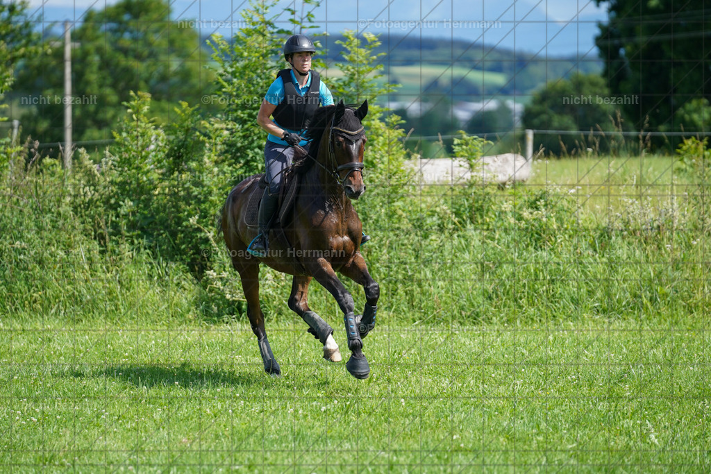 20240622-FAH07833 | Turnierfotografen Bayern, Reitsportbilder aus dem Geländekurs mit Felix Etzel auf dem Gut Waitzacker 2024