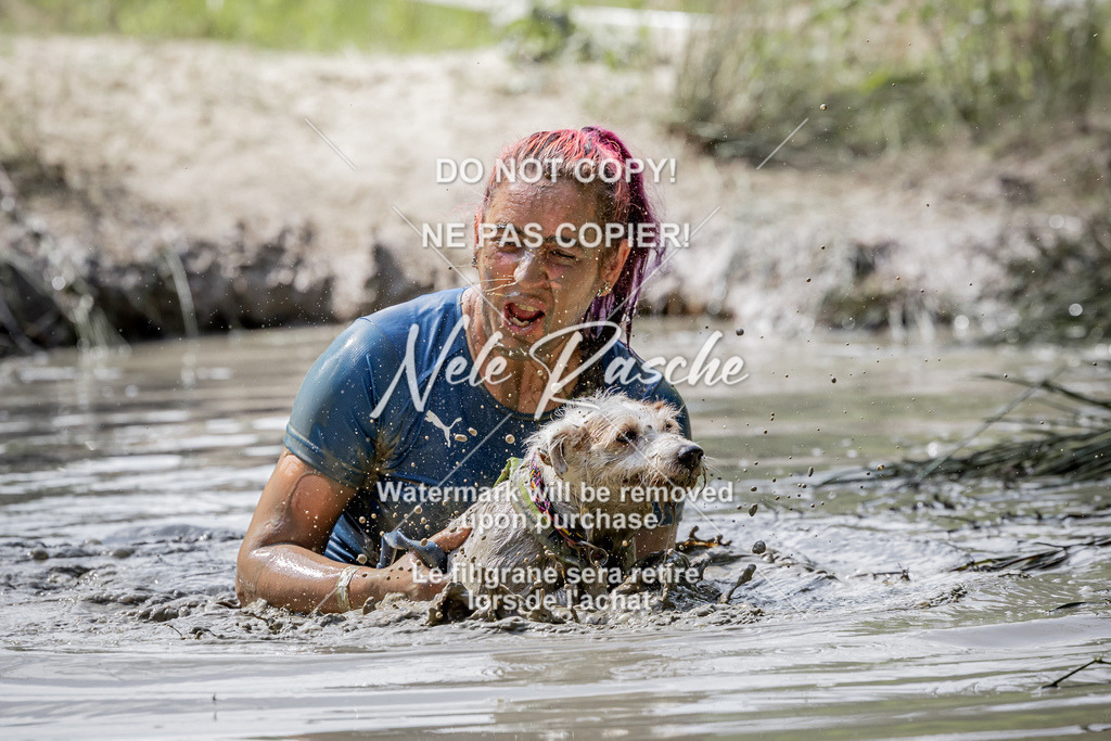 nelerasche_so1030-1100_377 | nelerasche