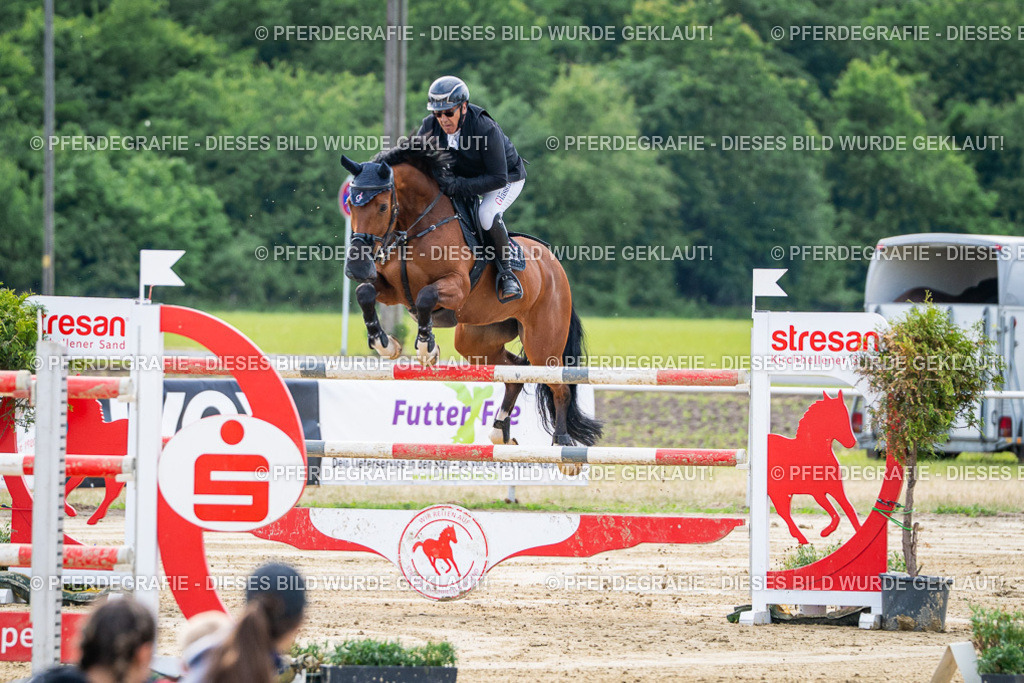 DSC07321 | Pferdegrafie