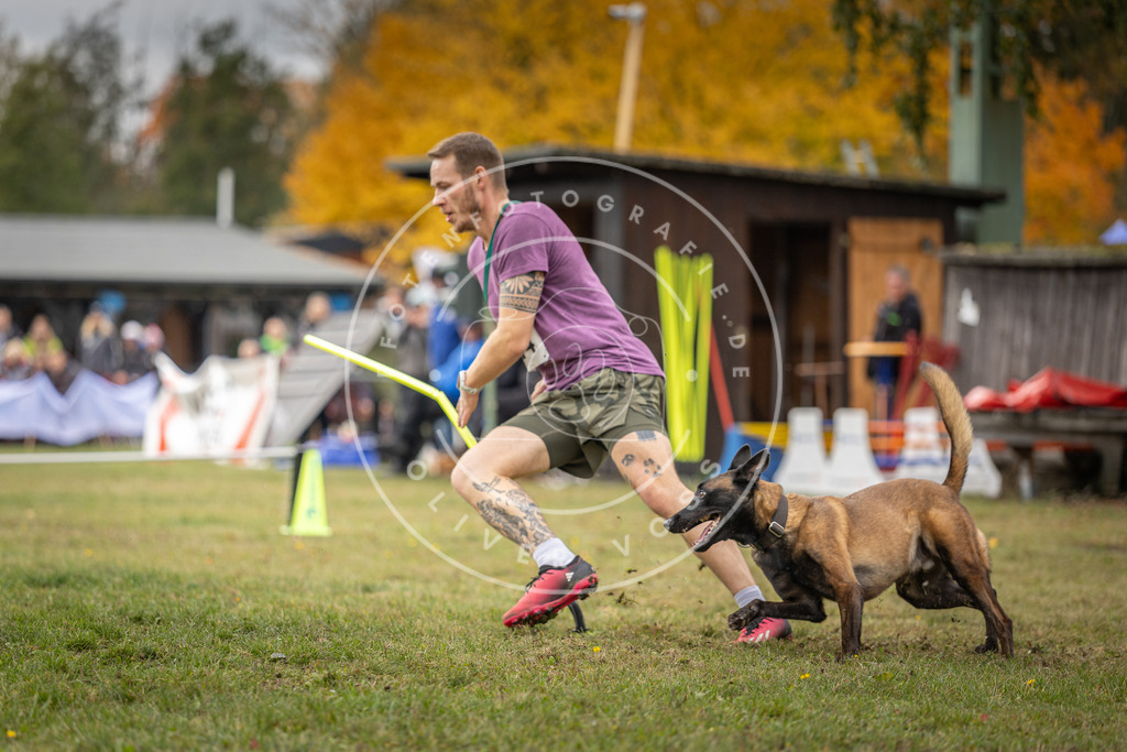 Pfotenfotografie_DV3A7824 | Hundefotografie, Tierfotograf, Pfotenfotografie, Fotoshooting Hund, Hunde Portrait, Hundesport, Hundeportraits, Heideshooting, Hunde, Sportfotograf, Hundefotograf, Turnierhundsport, THS,  - Realisiert mit Pictrs.com