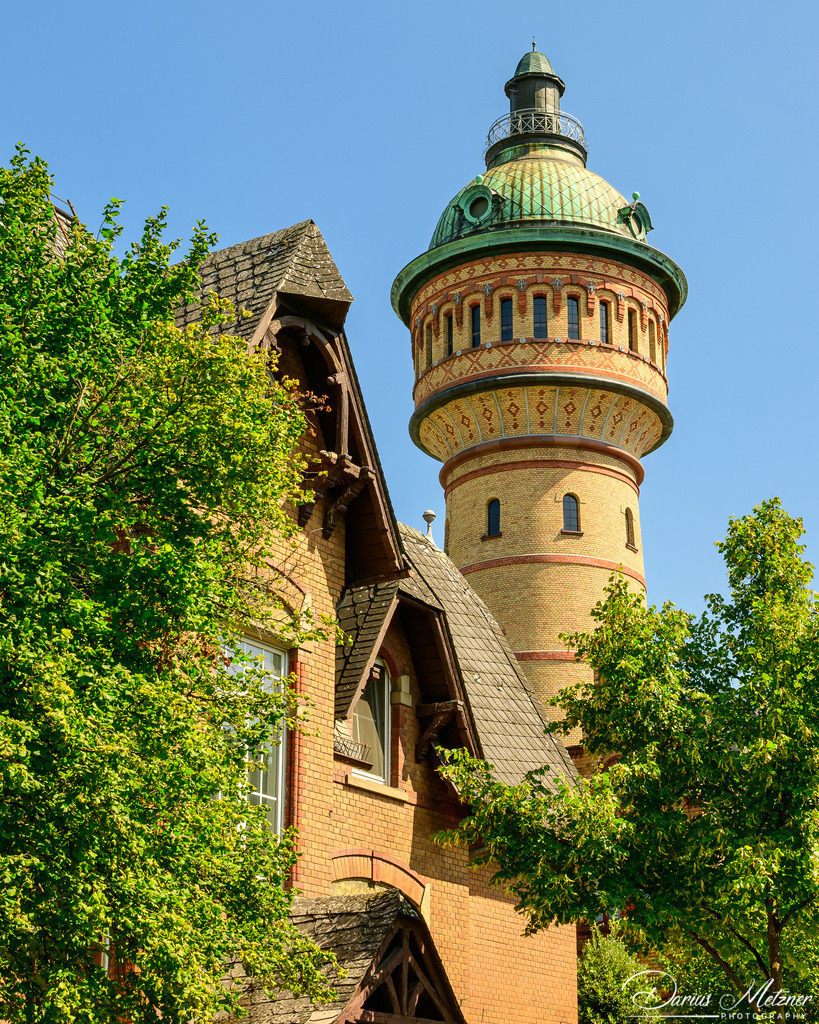 DSC_4086 2 | Fotografien, Fotos und Bilder aus Mainz, Frankfurt, Wiesbaden und anderen Orten auf der Welt - Fotografiert von Darius Metzner