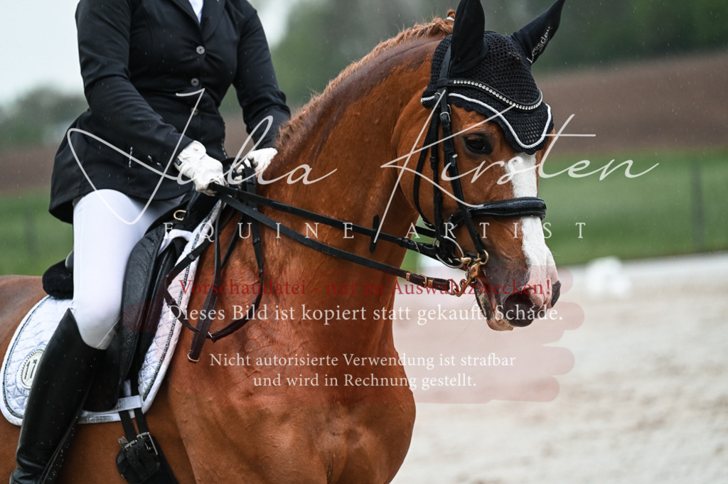 DSC_4483 | Pferde- und Turnierfotografie in Westsachsen. Pferdeportraits, Auftragszeichnungen und intuitive Kunst.