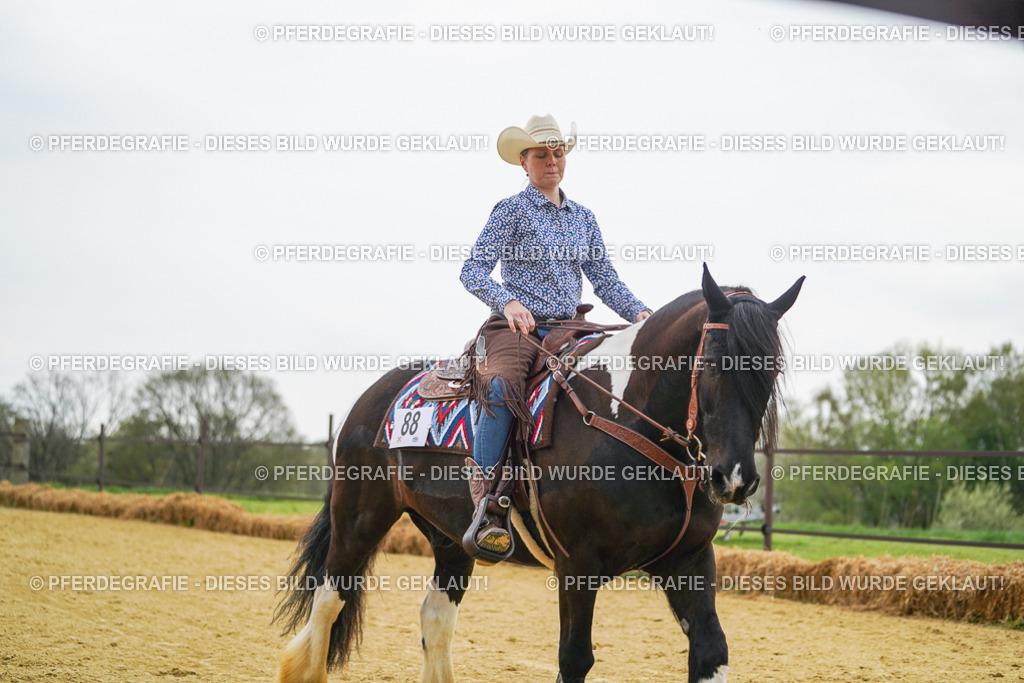 DSC08056 | Pferdegrafie