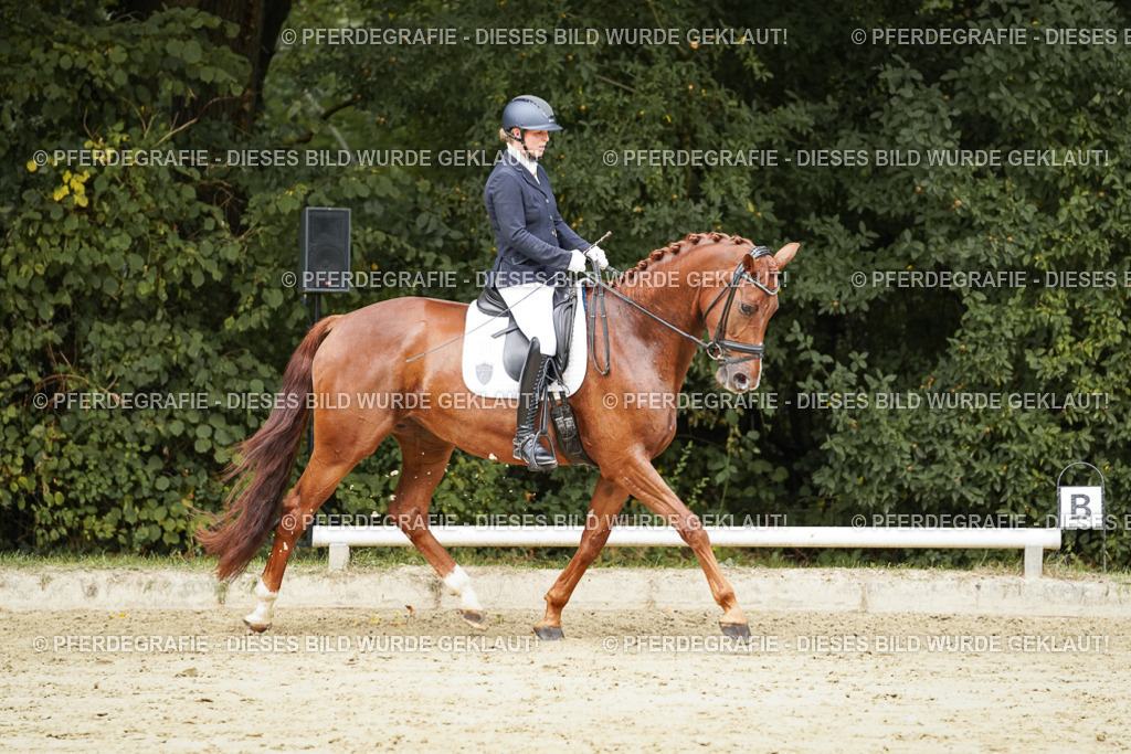 DSC09310 | Pferdegrafie