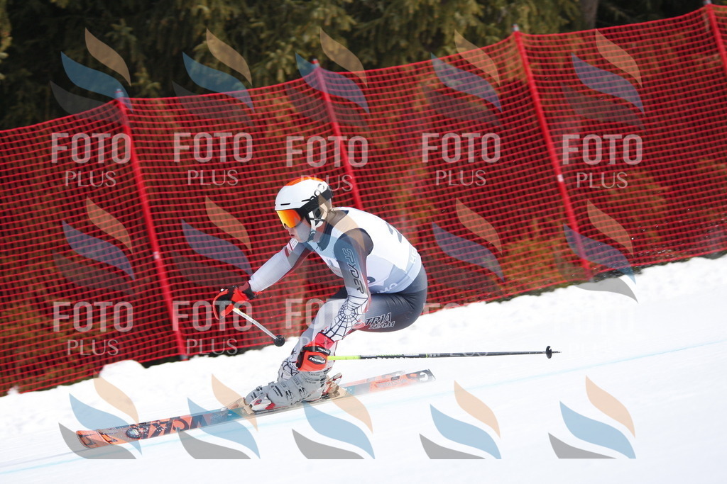 D8320 | holidayphoto