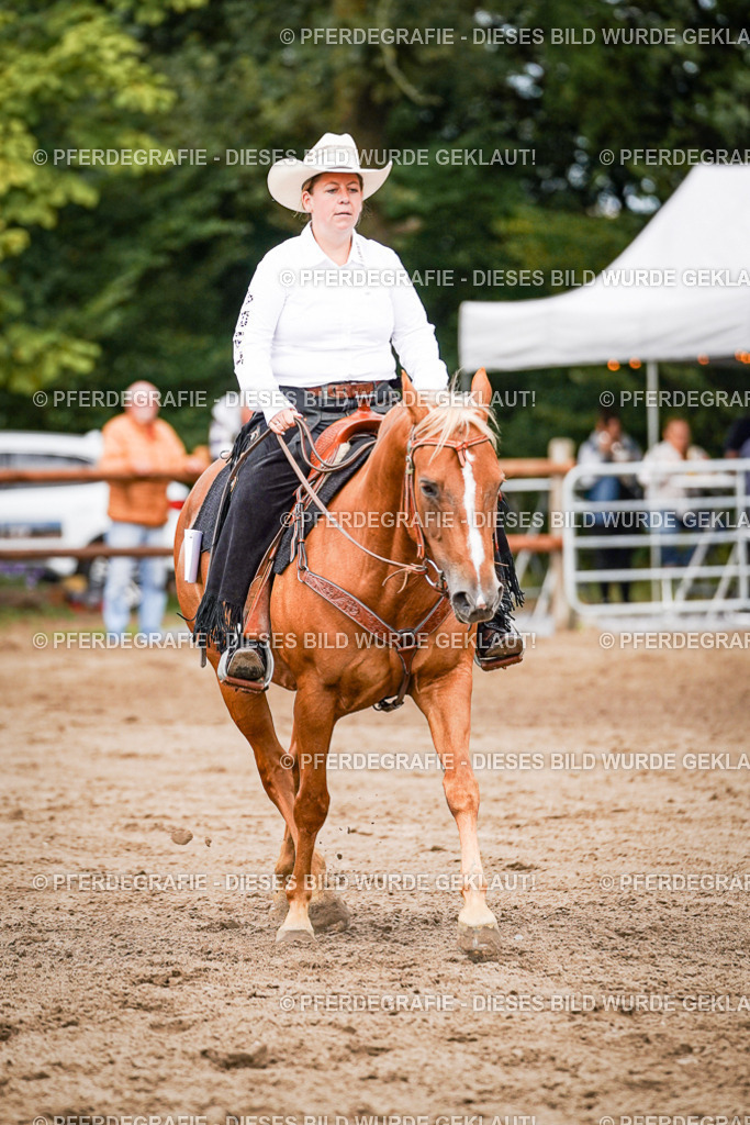 DSC06828 | Pferdegrafie