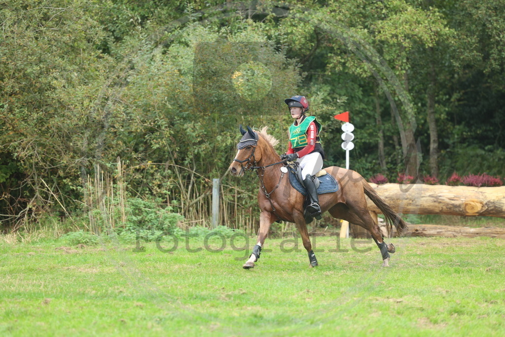 994A3312 | sabrinanicolaifotografie - Realisiert mit Pictrs.com