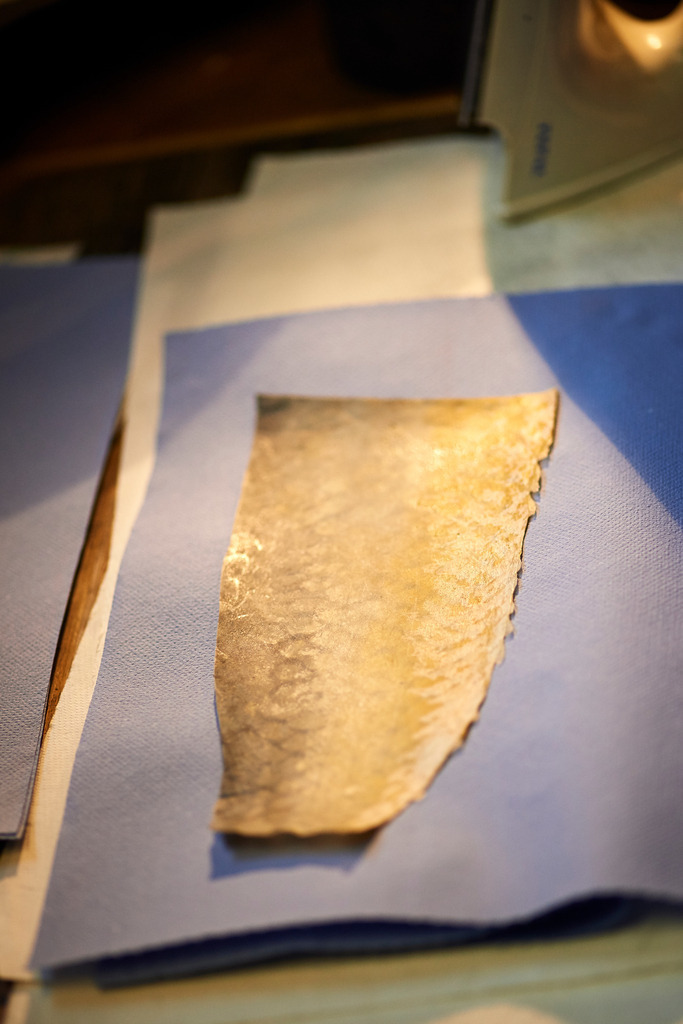 Yupitaze Fischtextil | Litschau, Austria - April 02, 2016: Yupitaze Fischtextil; das Fischleder wird auf saugfähiges Papier gelegt um es anschliessend in die Heisspresse zu legen. Damit löst sich das Fett. - Realisiert mit Pictrs.com