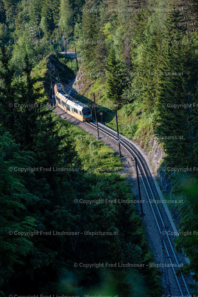 Mariazellerbahn und Blumen-6687 | Fotos und Fotoprodukte - Realisiert mit Pictrs.com