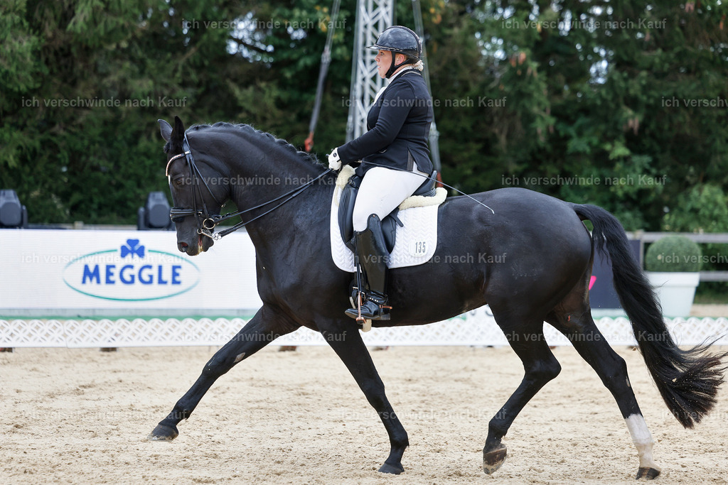 04_1-135-Dressur M__ -StoibPH-StoibPH-2679 | working equitationturnier fotograf videograf stoibphotography marixx film working equitation deutschland reitsport turnierfotografie eventfotografie equestrian events