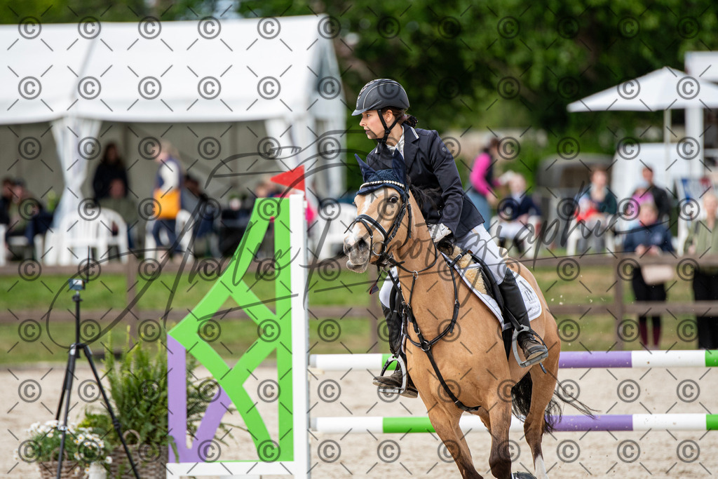 KPT_6926 | andre_photographic