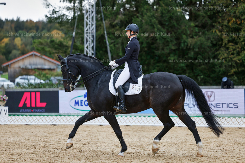 8_1-118-Klasse S_  -StoibPH-3898 | working equitationturnier fotograf videograf stoibphotography marixx film working equitation deutschland reitsport turnierfotografie eventfotografie equestrian events