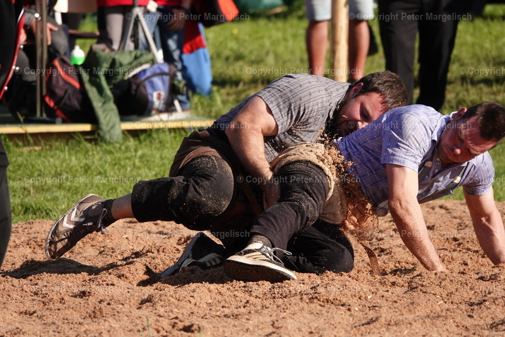 DSC00859 | Schwingen - Realisiert mit Pictrs.com