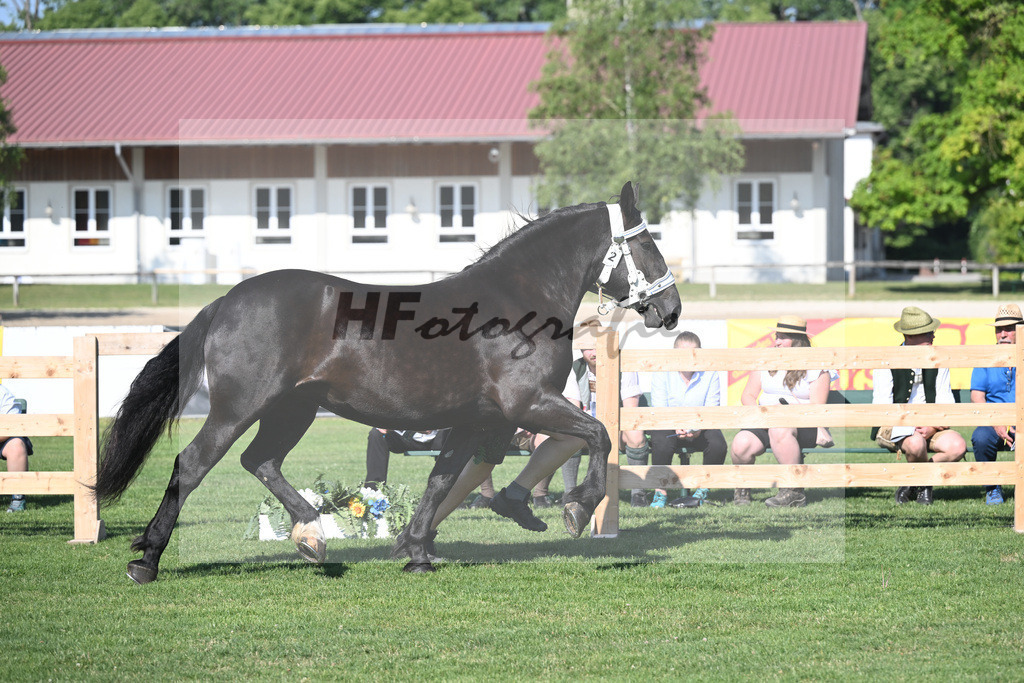 Kat-Nr. 2 Hera_Radel_20230026 | hf-fotografie - Realisiert mit Pictrs.com