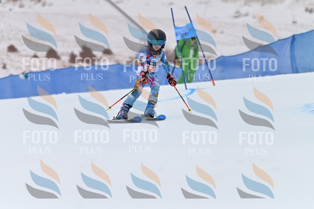 BGV_0679 | holidayphoto