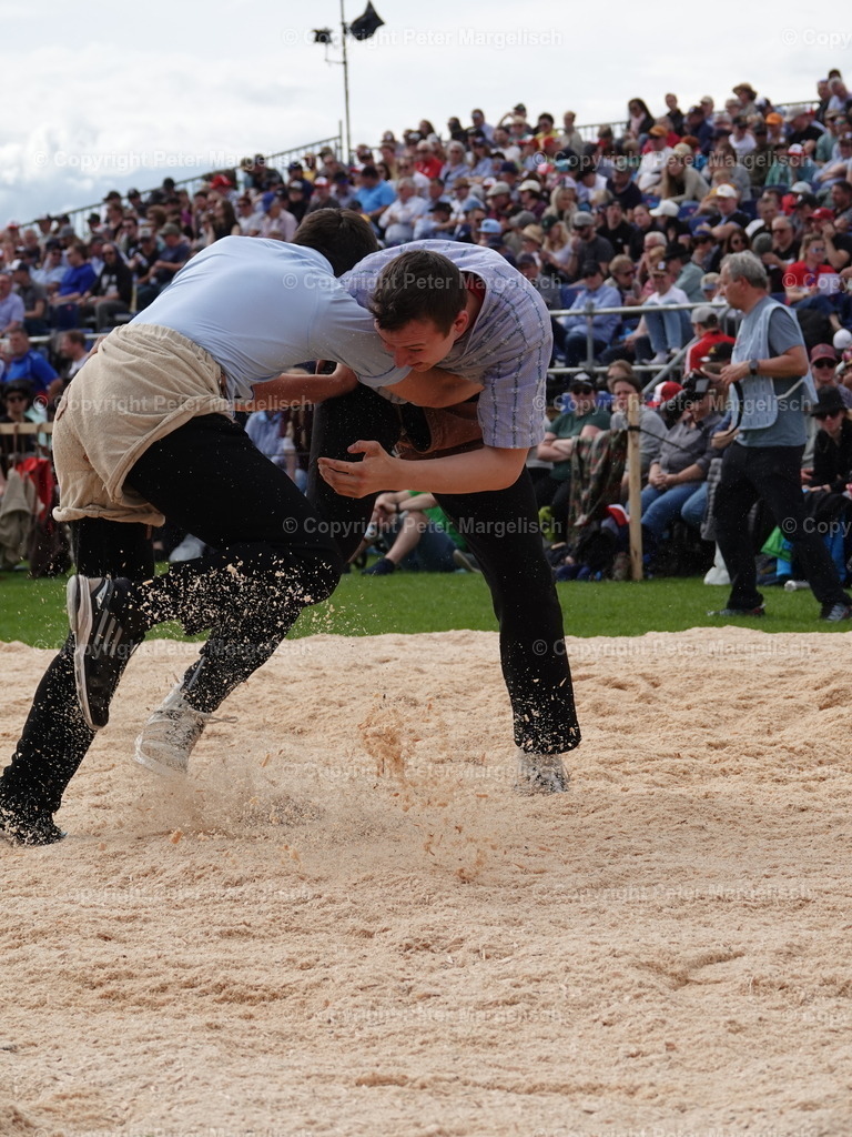DSC06416 | Schwingen - Realisiert mit Pictrs.com