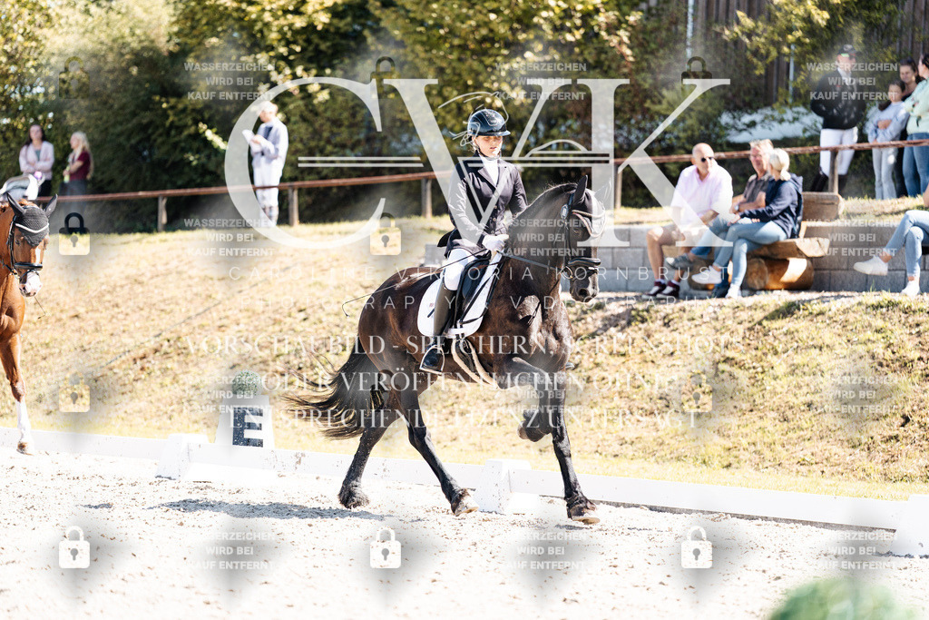 CK904090 | Turnierfotografie Pferdefotografie Trier Rheinland-Pfalz Pferdesport Reitsport Tierfotografie Sportfotografie Pferdevideo Pferdevideografie Equestrianvideography equestrianphotography  - Realisiert mit Pictrs.com