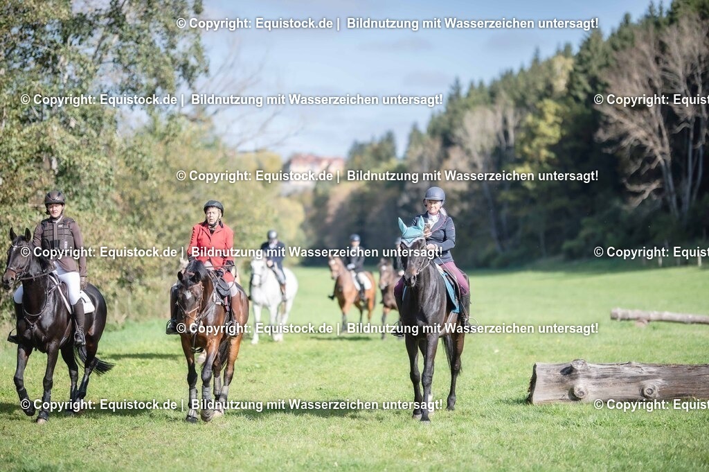 20251011_Jagd-Marbach_0112 | Foto: Thomas Hartig