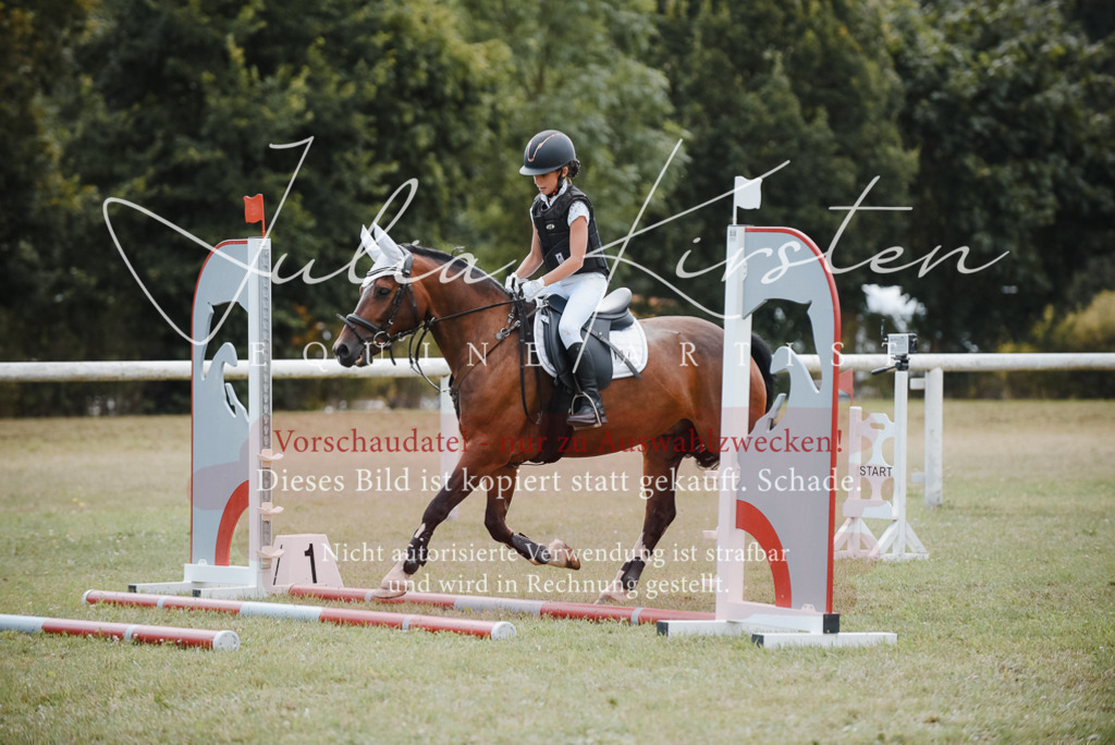 DSC_5479 | Pferde- und Turnierfotografie in Westsachsen. Pferdeportraits, Auftragszeichnungen und intuitive Kunst.
