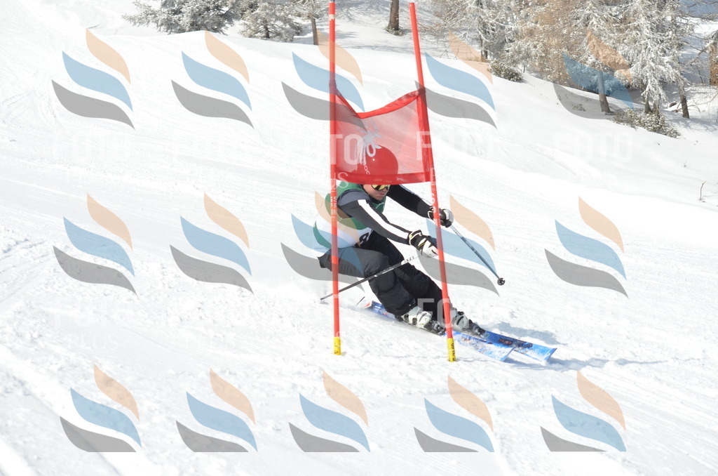 D9025 | holidayphoto