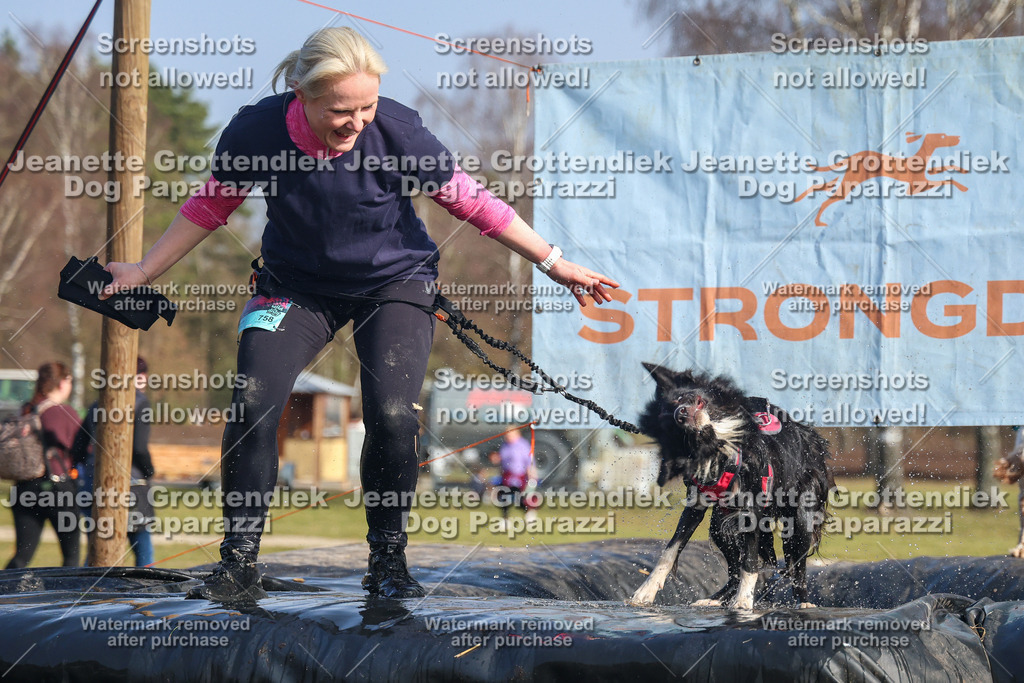 Dog Paparazzi - Strongdog North Mrz26-2638 | Dog Paparazzi Jeanette Grottendiek Fotografie & Videografie - Realisiert mit Pictrs.com